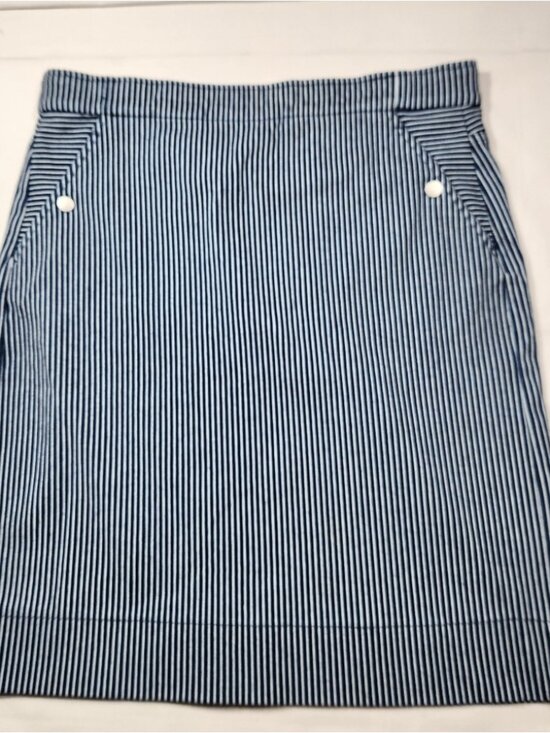 Dresses & Skirts - Blue and White Women's Skirt